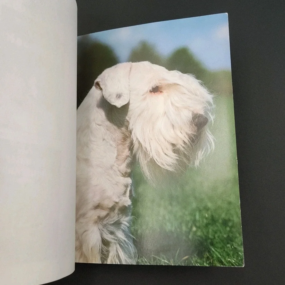 N/A ✅🐶📕the new